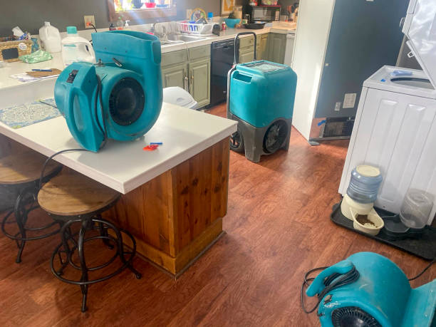 Water damage restoration mold remediation in KY