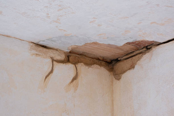 Best Fire Damage Restoration  in Lancaster, KY
