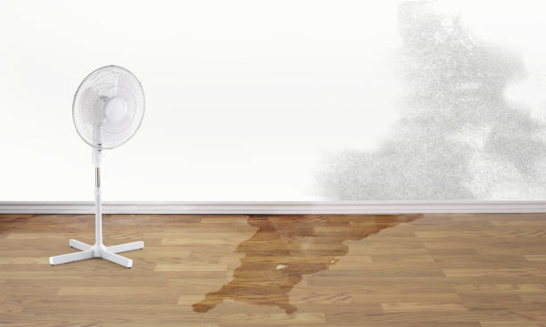 Best Water damage restoration mold remediation  in Lancaster, KY