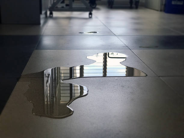 Best 24-hour water damage restoration  in Lancaster, KY