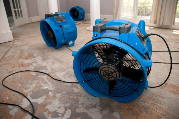 Best Flooded house restoration  in Lancaster, KY