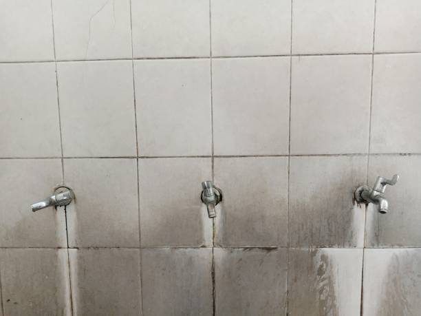 Best Sewage cleanup and water damage restoration  in Lancaster, KY