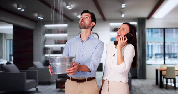 Best Ceiling water damage repair  in Lancaster, KY